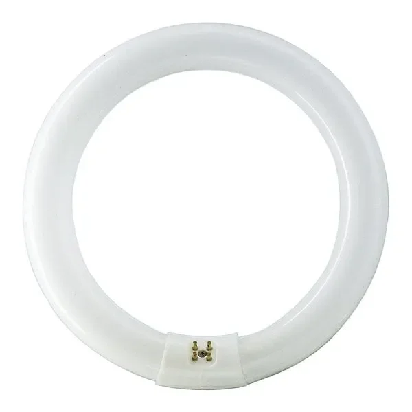 22W T9 Circular 840 Cool White 22 Watt Crompton
