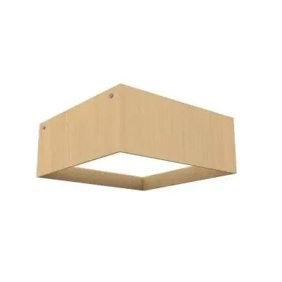 LED Ceiling Mount