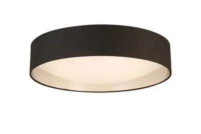 LED Ceiling Mount