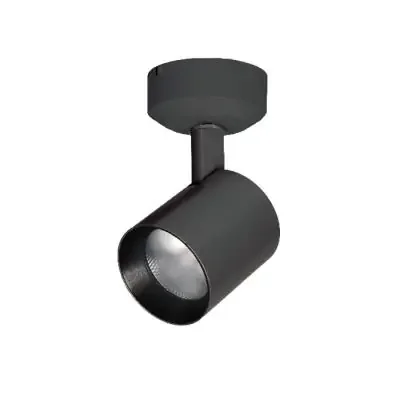 LED Spot Light