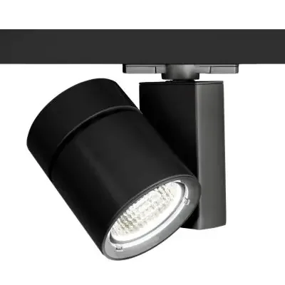 LED Track Fixture