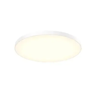 One Light Flush Mount