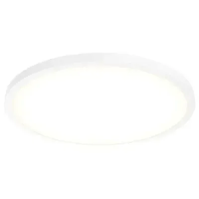 One Light Flush Mount