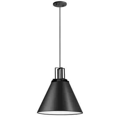 One Light Pendant4605641