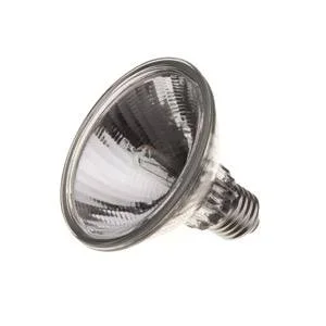 PAR30 75W E27 / ES Flood Bulb