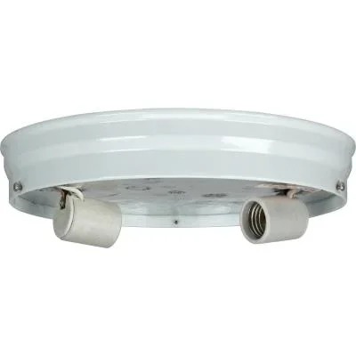 Two Light Ceiling Pan2196591