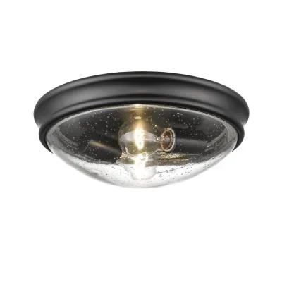 Two Light Flushmount808287