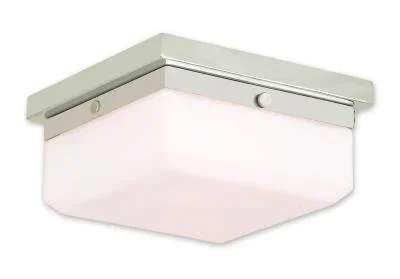 Two Light Wall Sconce/Ceiling Mount700545